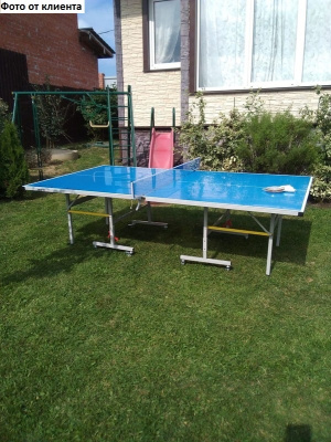 Профессиональный всепогодный теннисный стол Proxima Giant Dragon