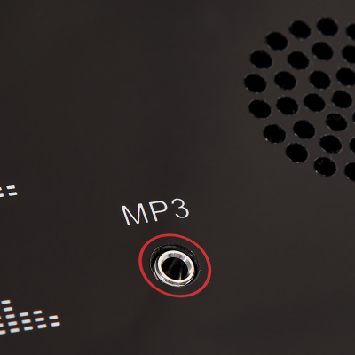 Беговая дорожка Titanium Masters Physiotech TDA