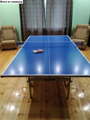 Профессиональный всепогодный теннисный стол Proxima Giant Dragon